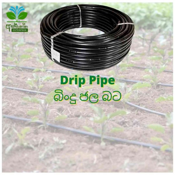 About Us Aswanna අස්වැන්න Enterprise