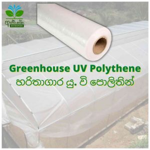 Green House UV Polythene - හරිතාගාර යු. වි පොලිතින්