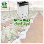Grow Bags Aswanna Enterprise Sri Lanka