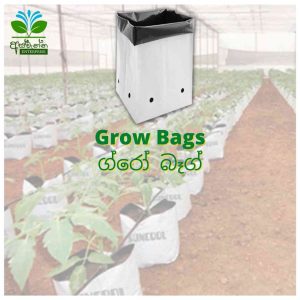 Grow Bags - ග්රෝ බෑග්