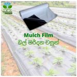 Mulch Film Aswanna Enterprise Sri Lanka